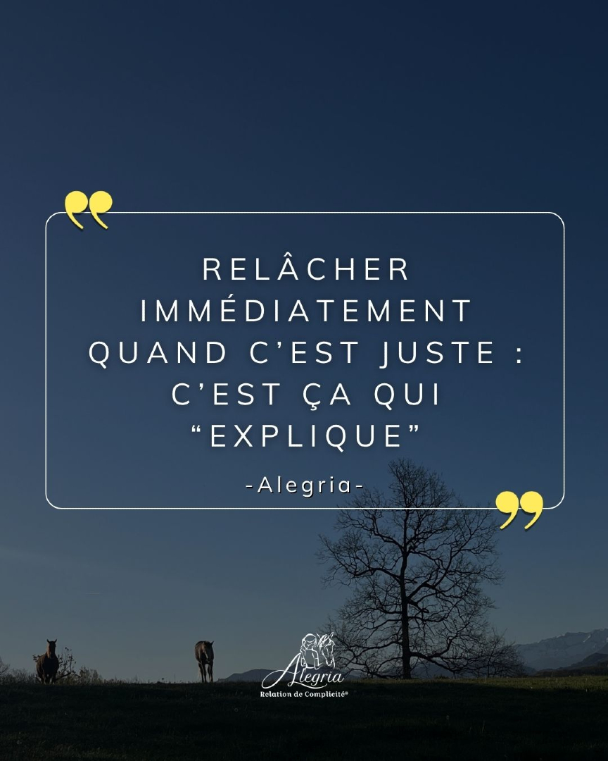 @Alegria Relation de Complicit&eacute;