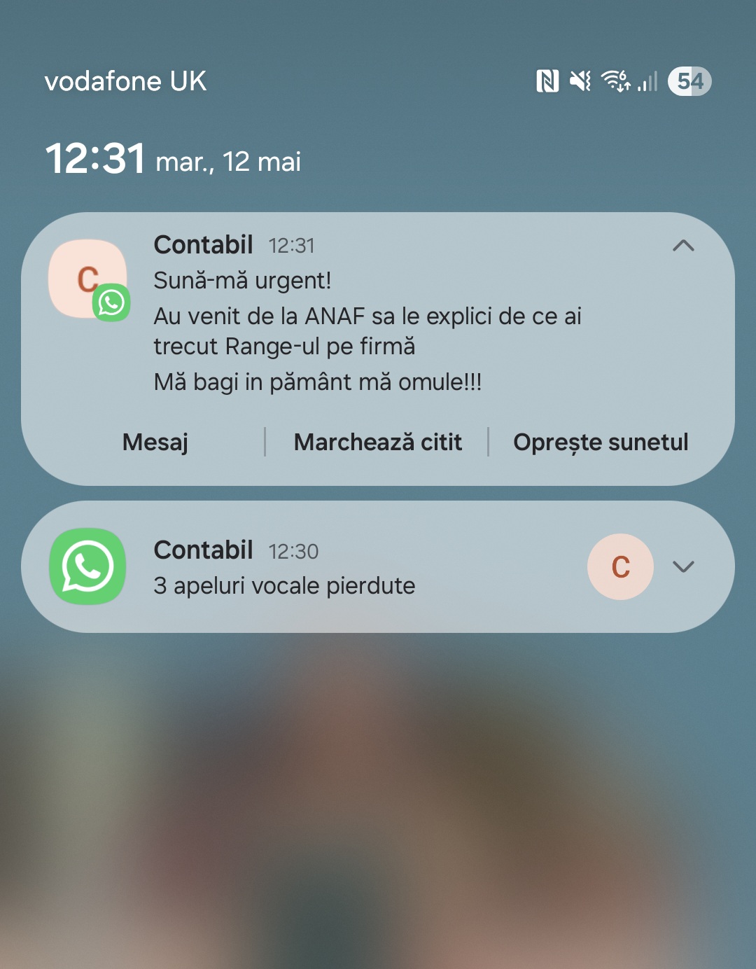 @Florin Obreja