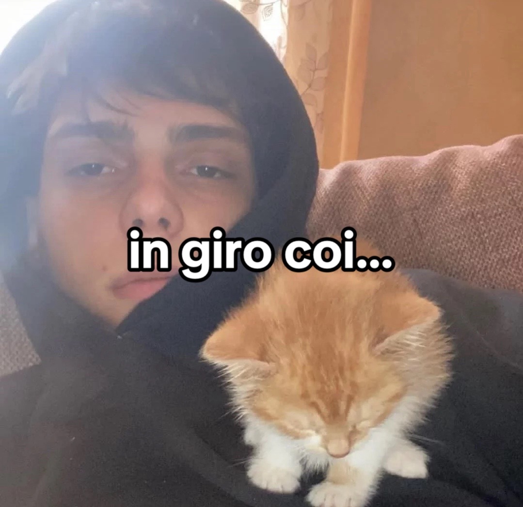 @illopoul