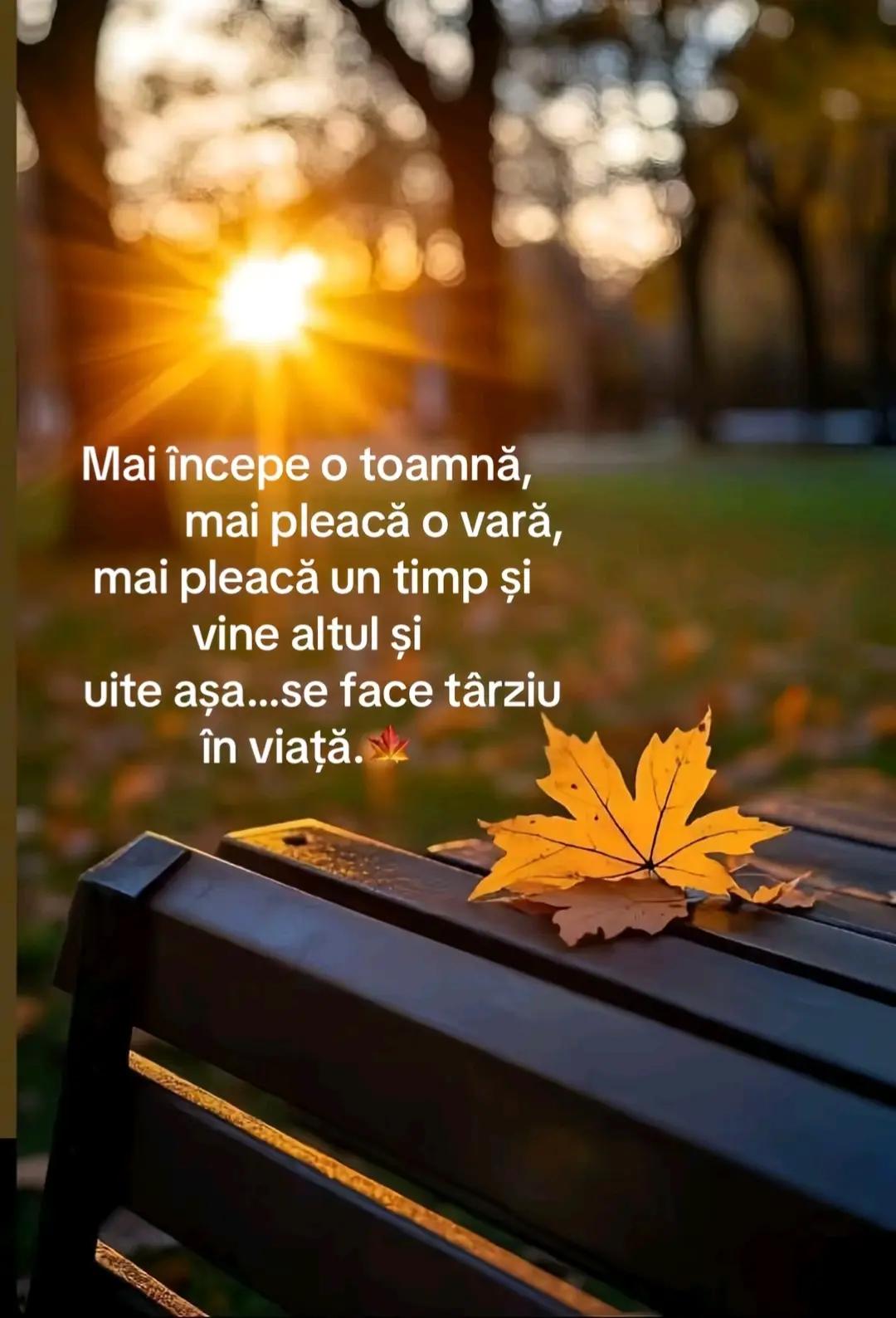 @Mirela Savu