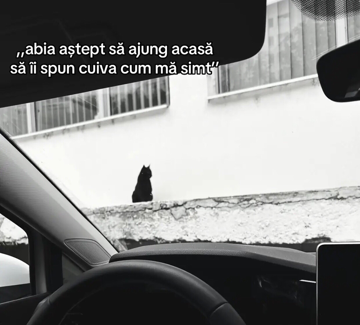 @Vlad B. Ionuț