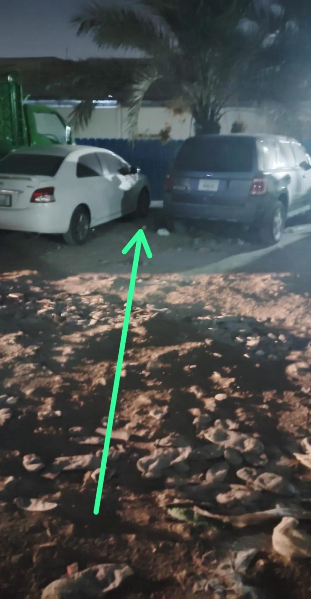 @محمد قاسم