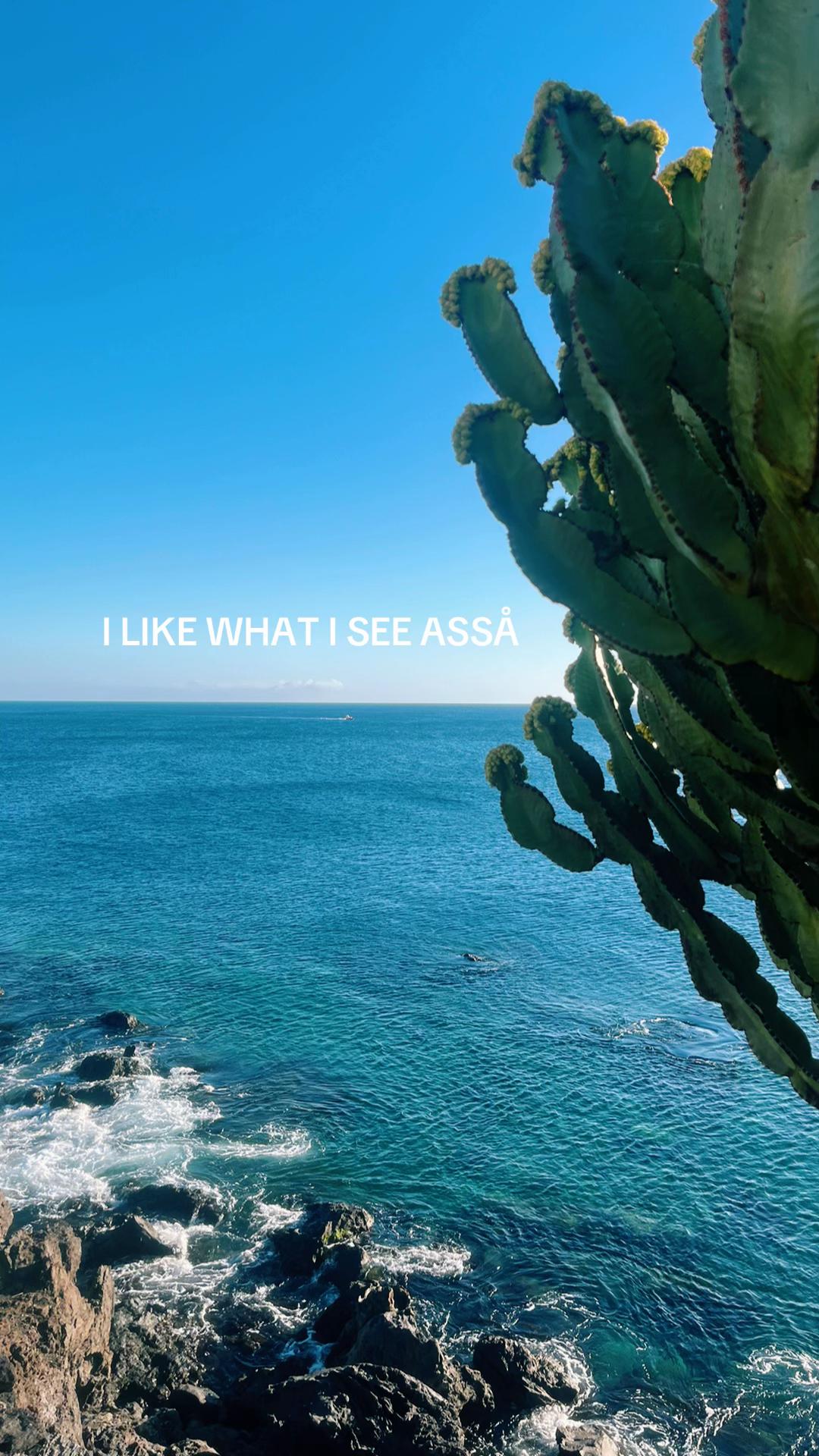 @Alicia