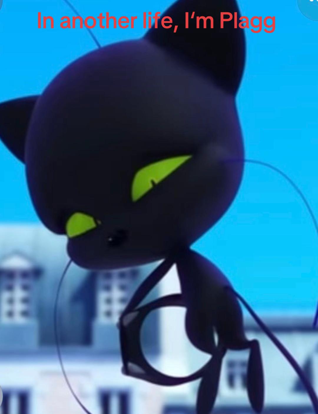 @🐞Maria🐈⬛🐾