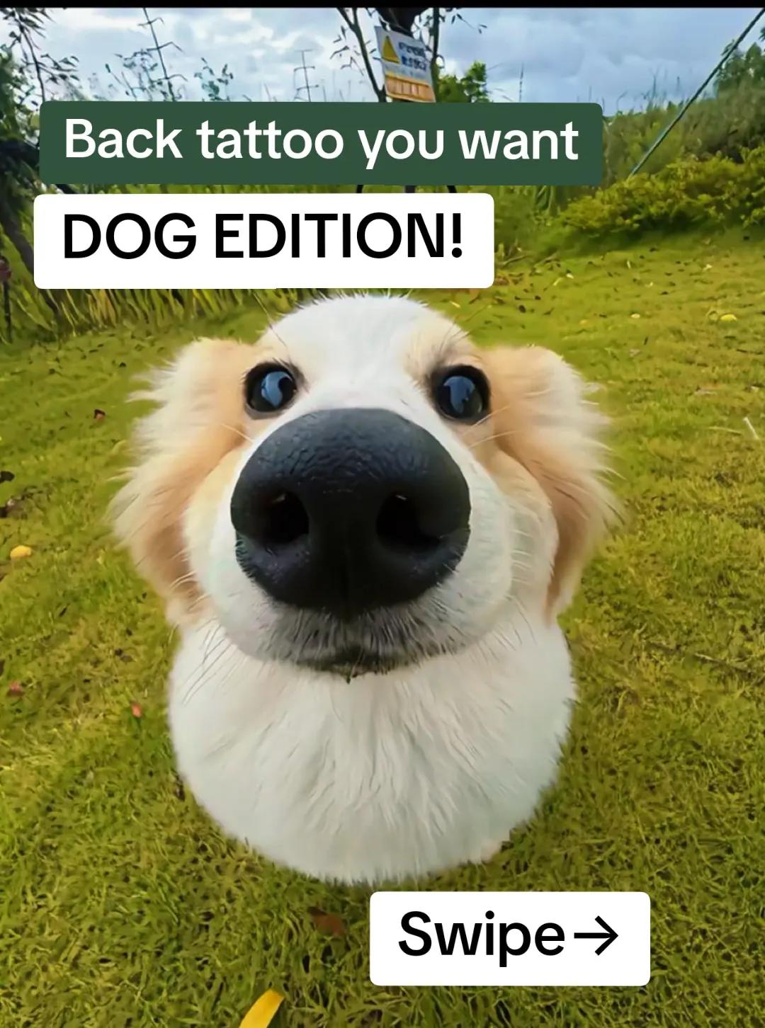 @buppy.ink