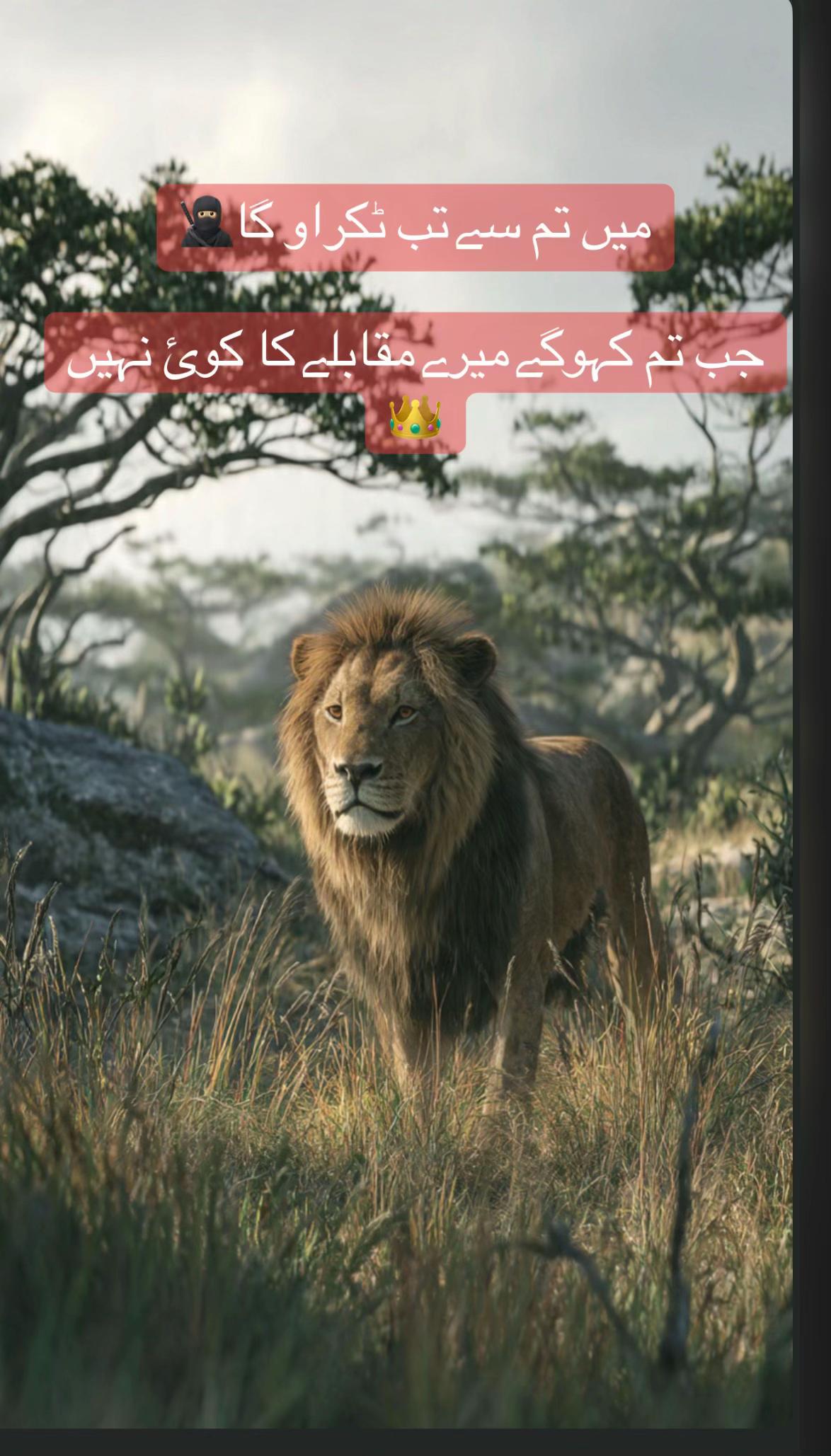 @جگر کا ٹکڑا اپنا یار 🫀