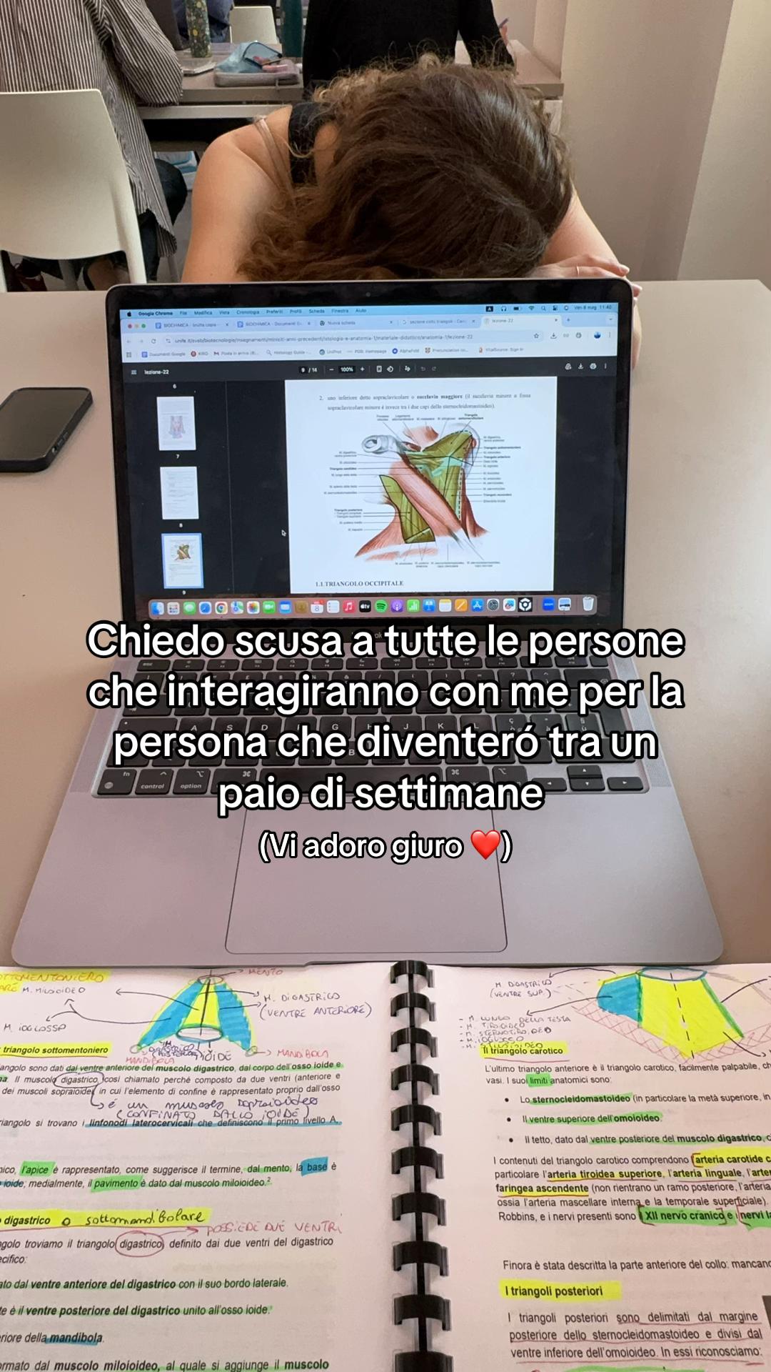 @Leonardo 🪼
