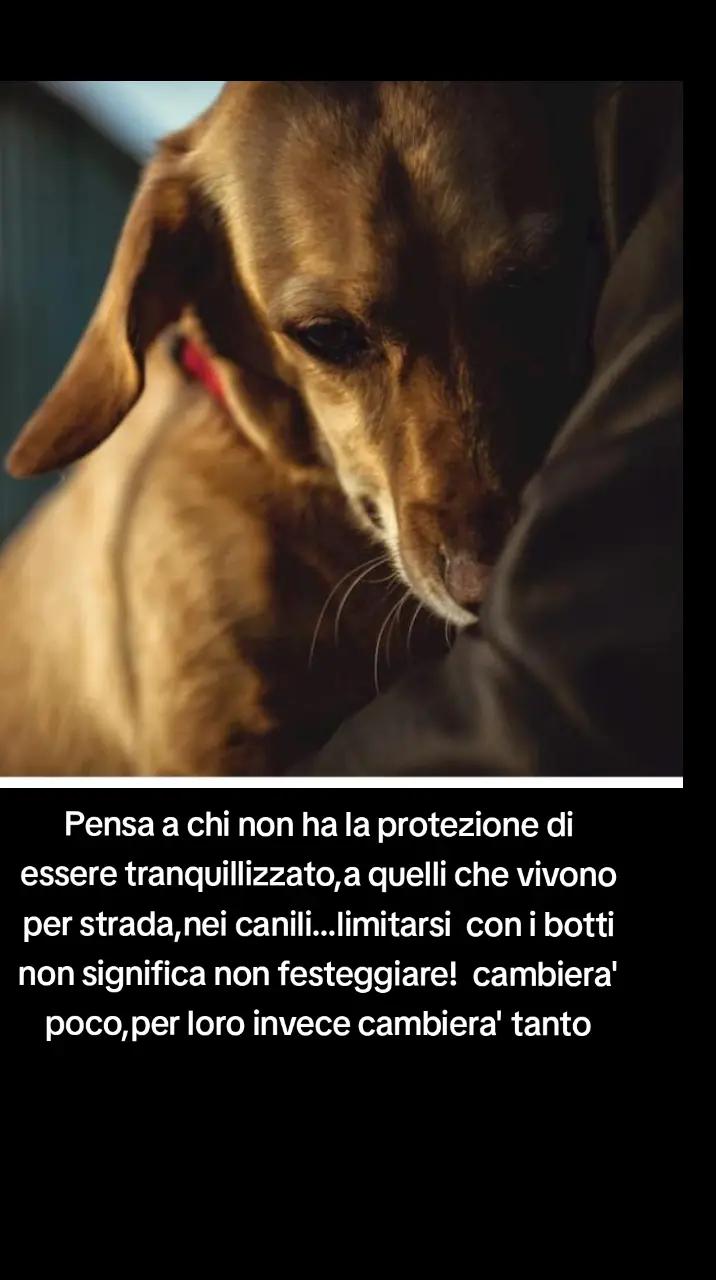 @Massimo e matilde