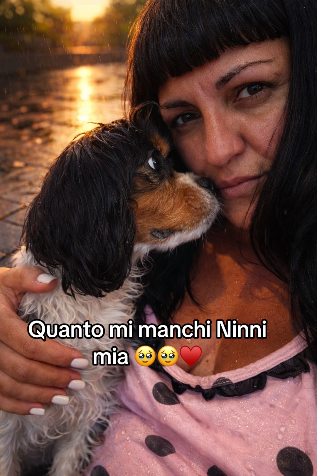 @The Queen 👑 My Dog Family &hearts;️