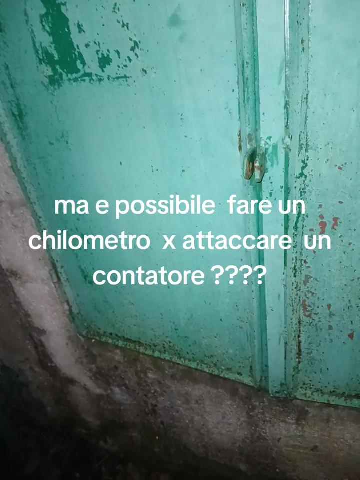 @nuvoli1979