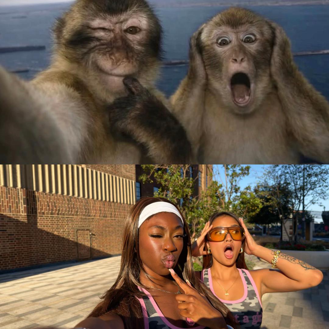 @VSNVOGUE