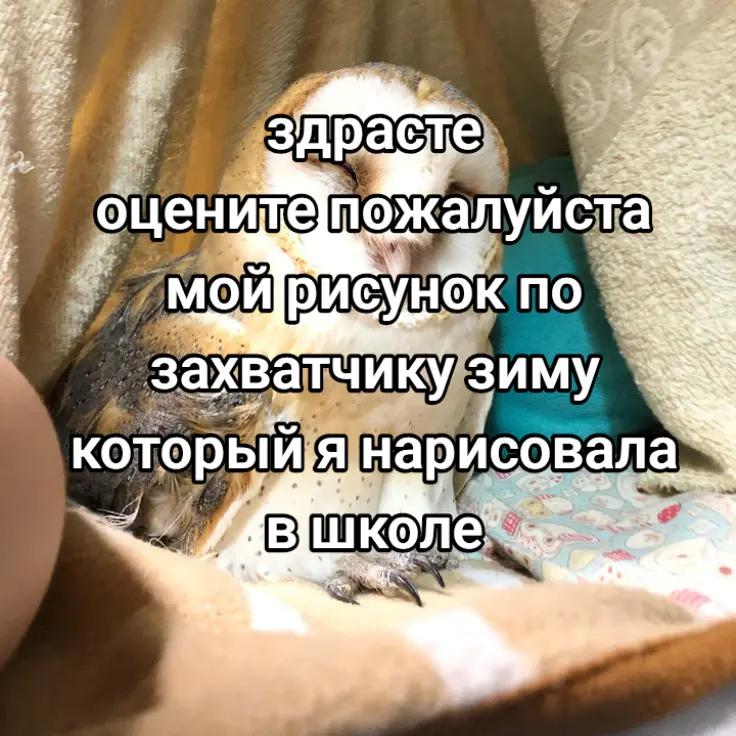 @Стряпняᶻ 𝘇