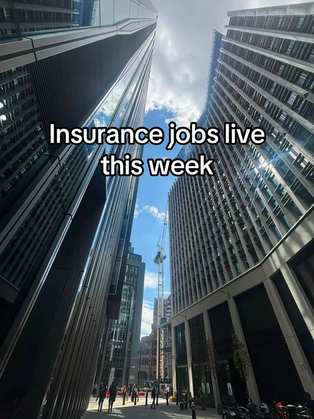 @Insurance TikTok