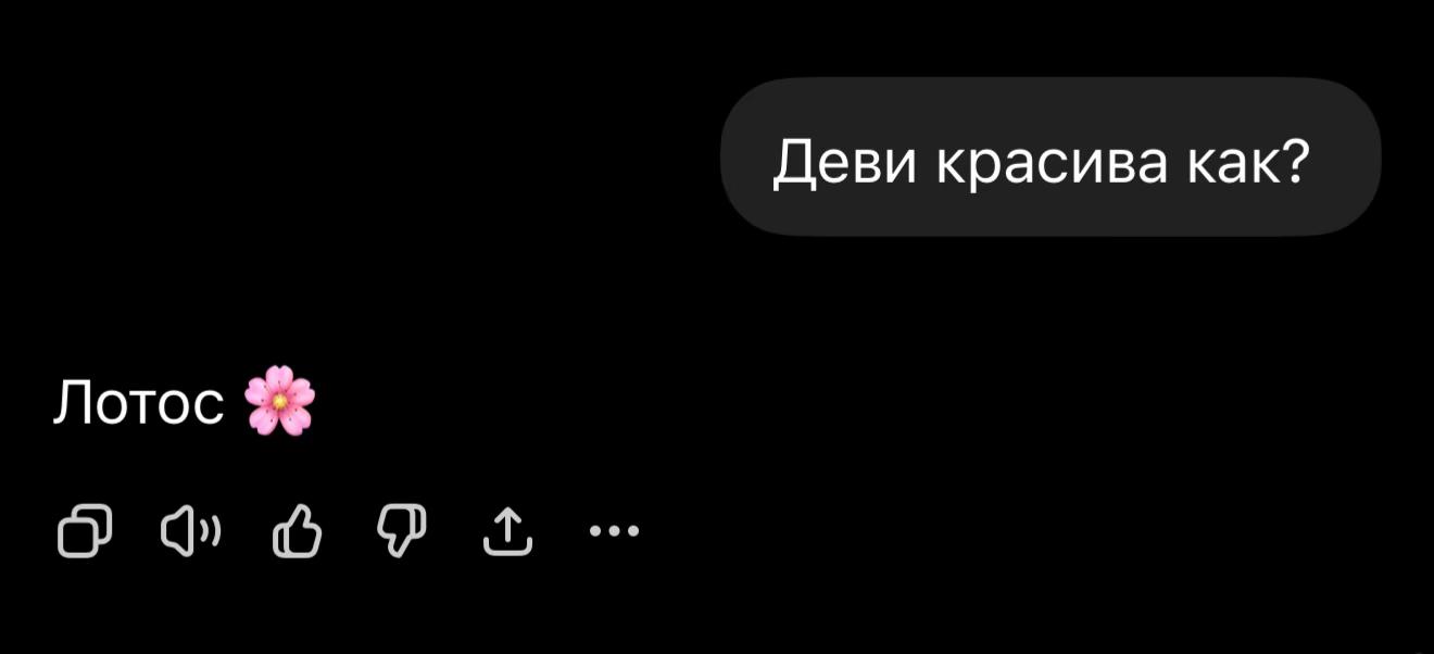 @Nelya