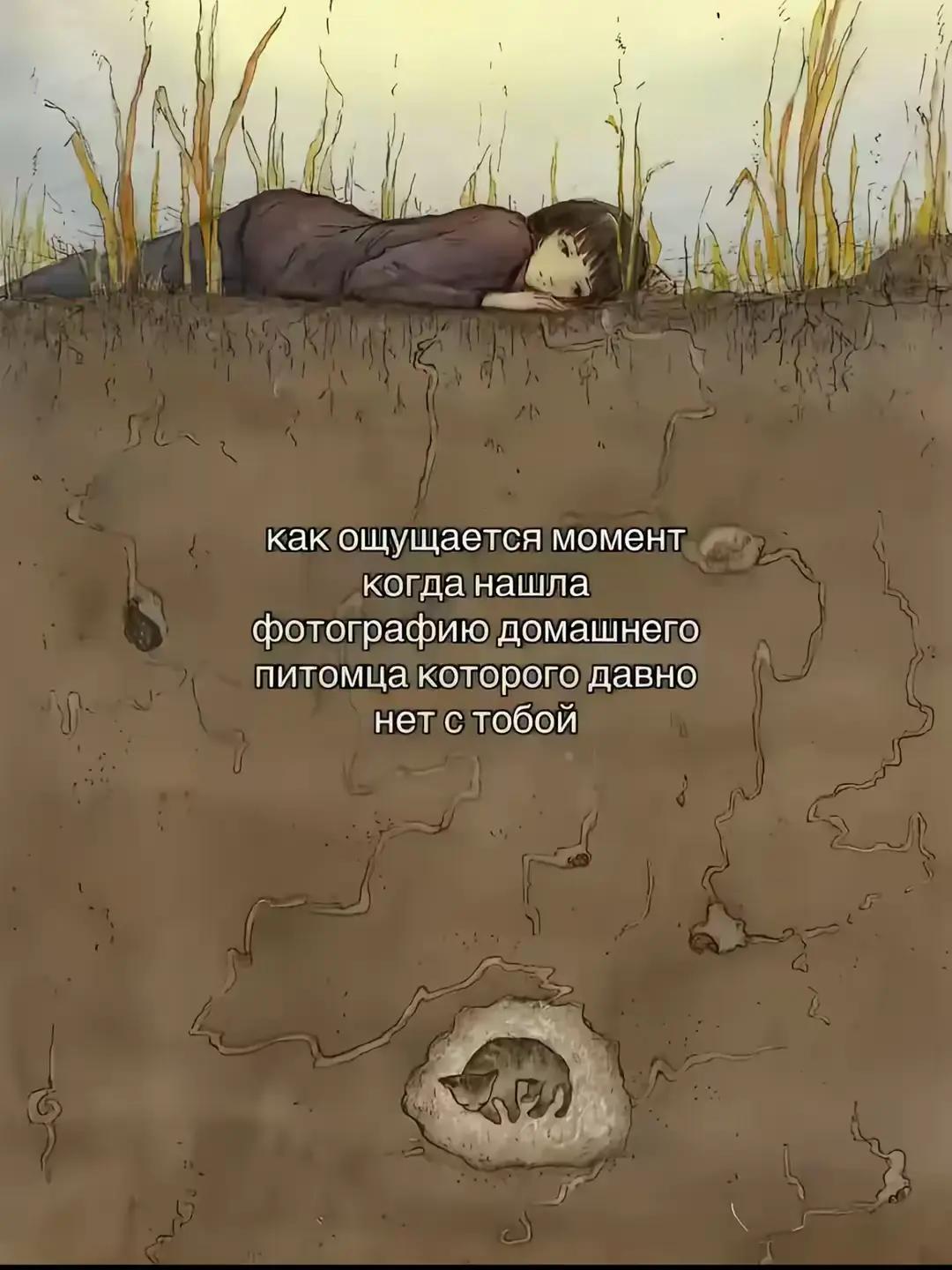 @тгк: трийка