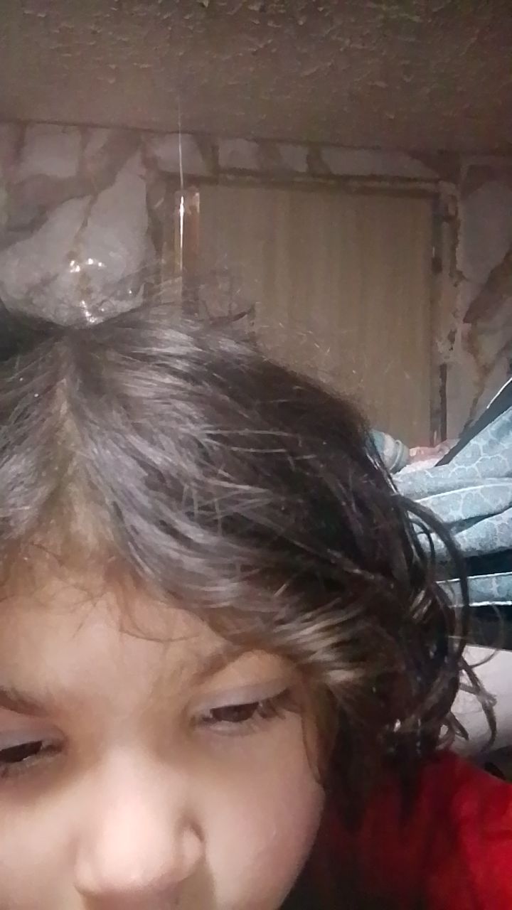 @Daniela Gaborova