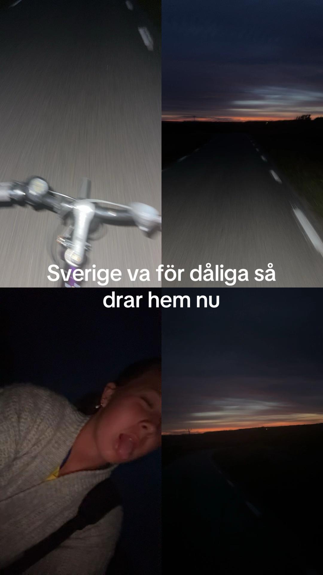 @lizziesskibidi