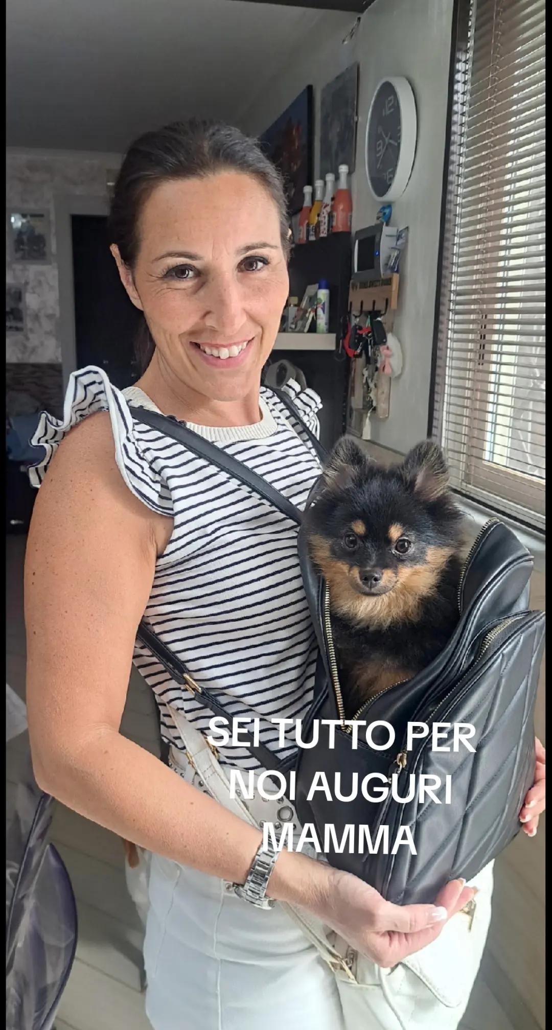 @Motorsportsavio Maione