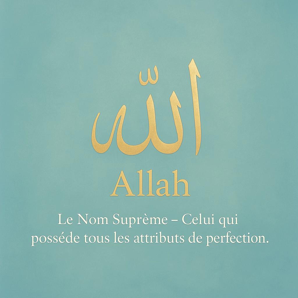 @Le Chemin de l&rsquo;Islam🕋