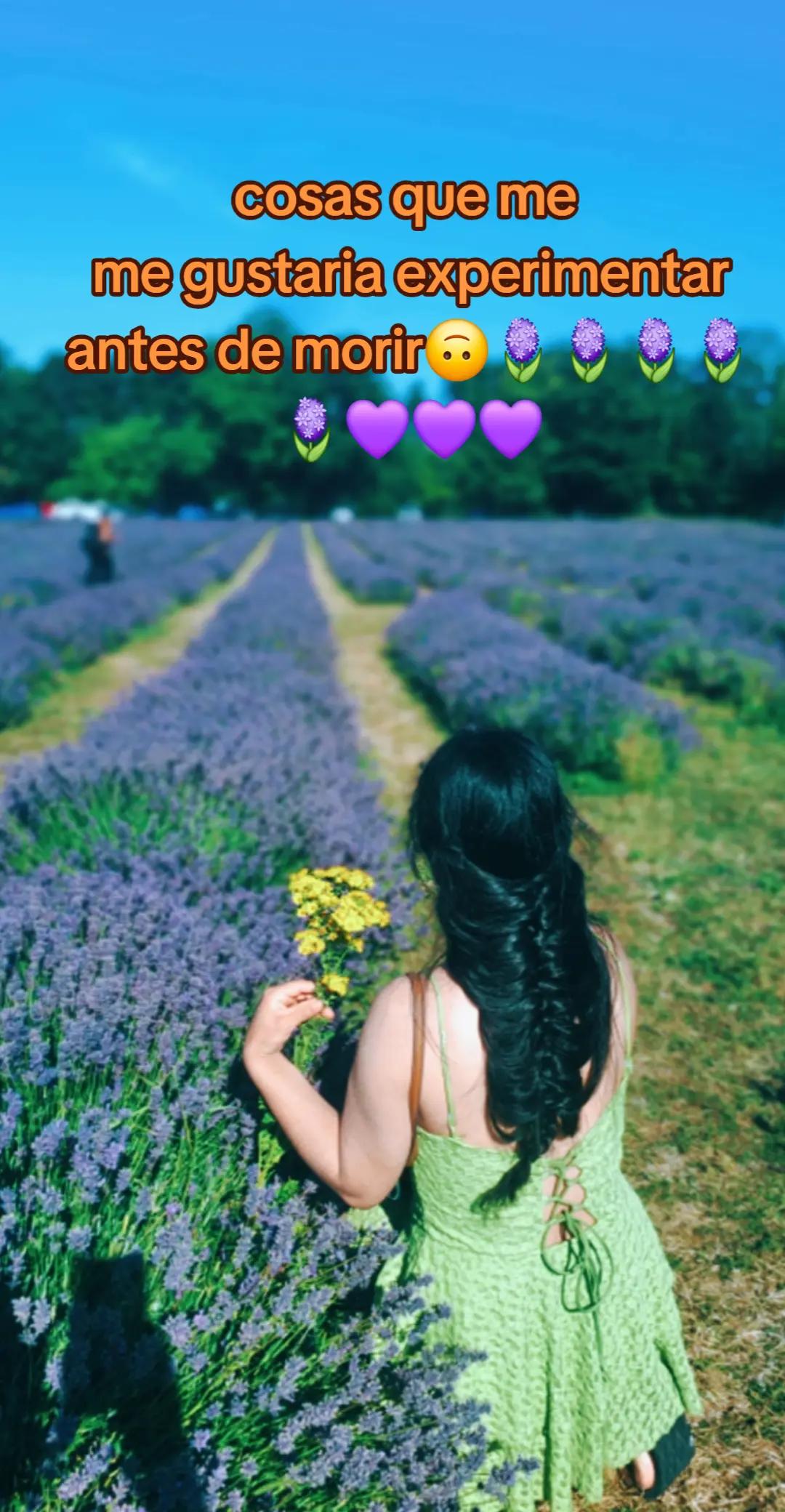 @🐞Ali. &Aacute; 🌻🌻🌻🌻🌻