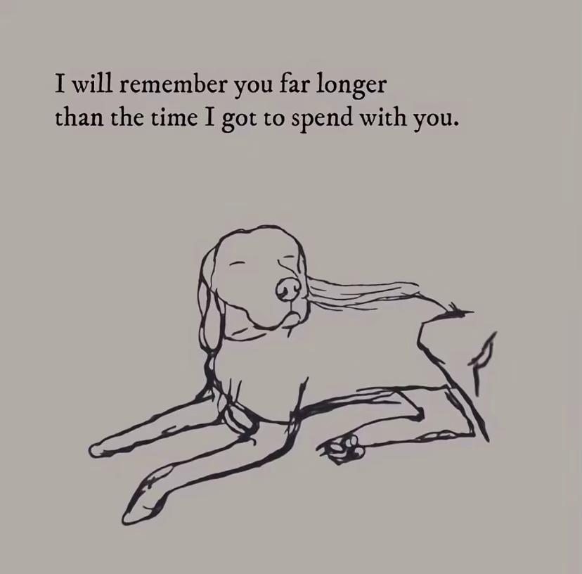 @Kimmy