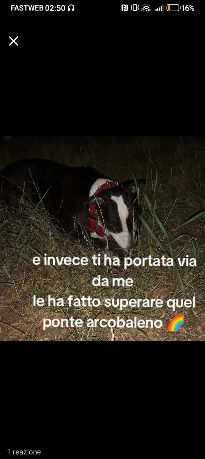 @La NaNa