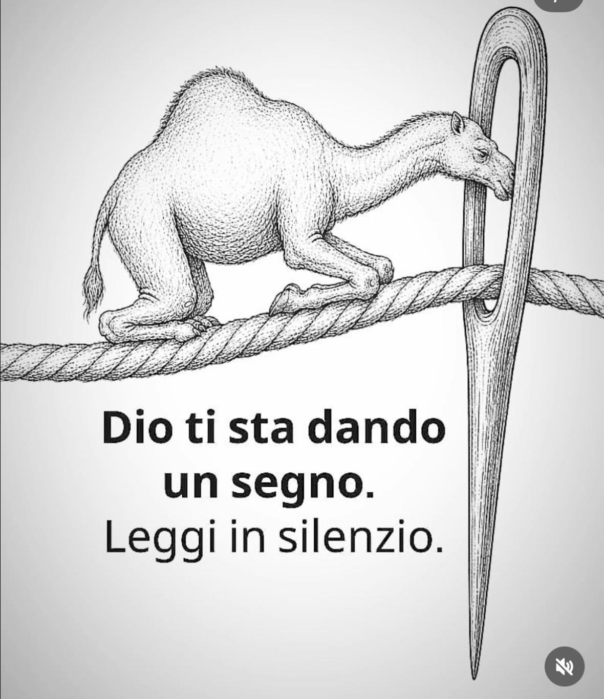 @Lucia tarantino