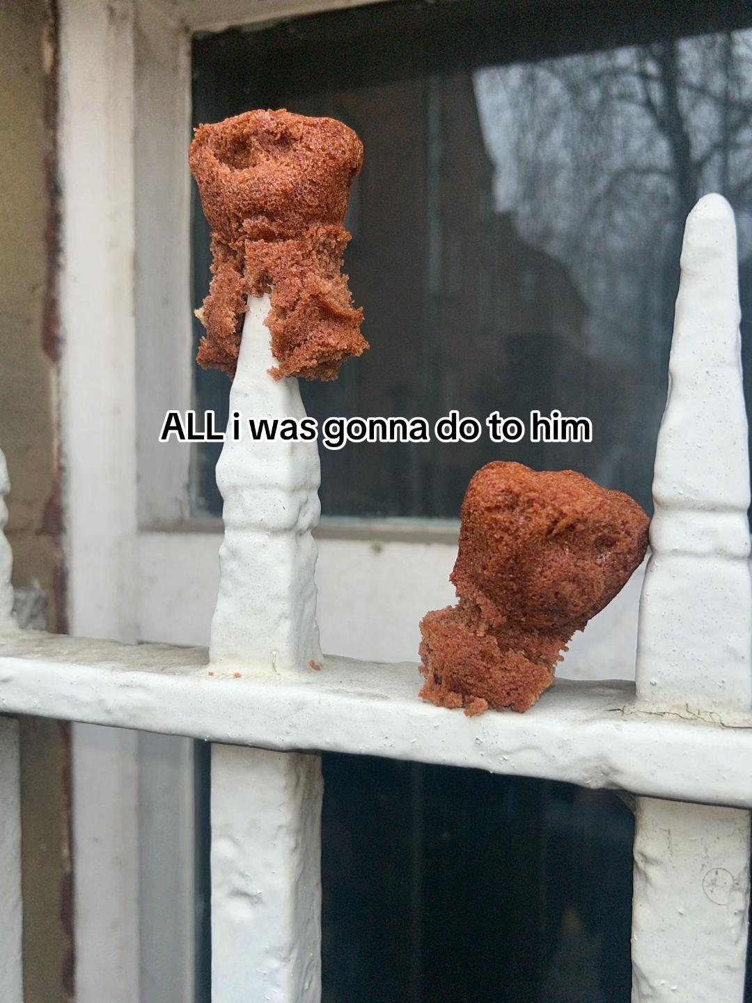 @george 🐓