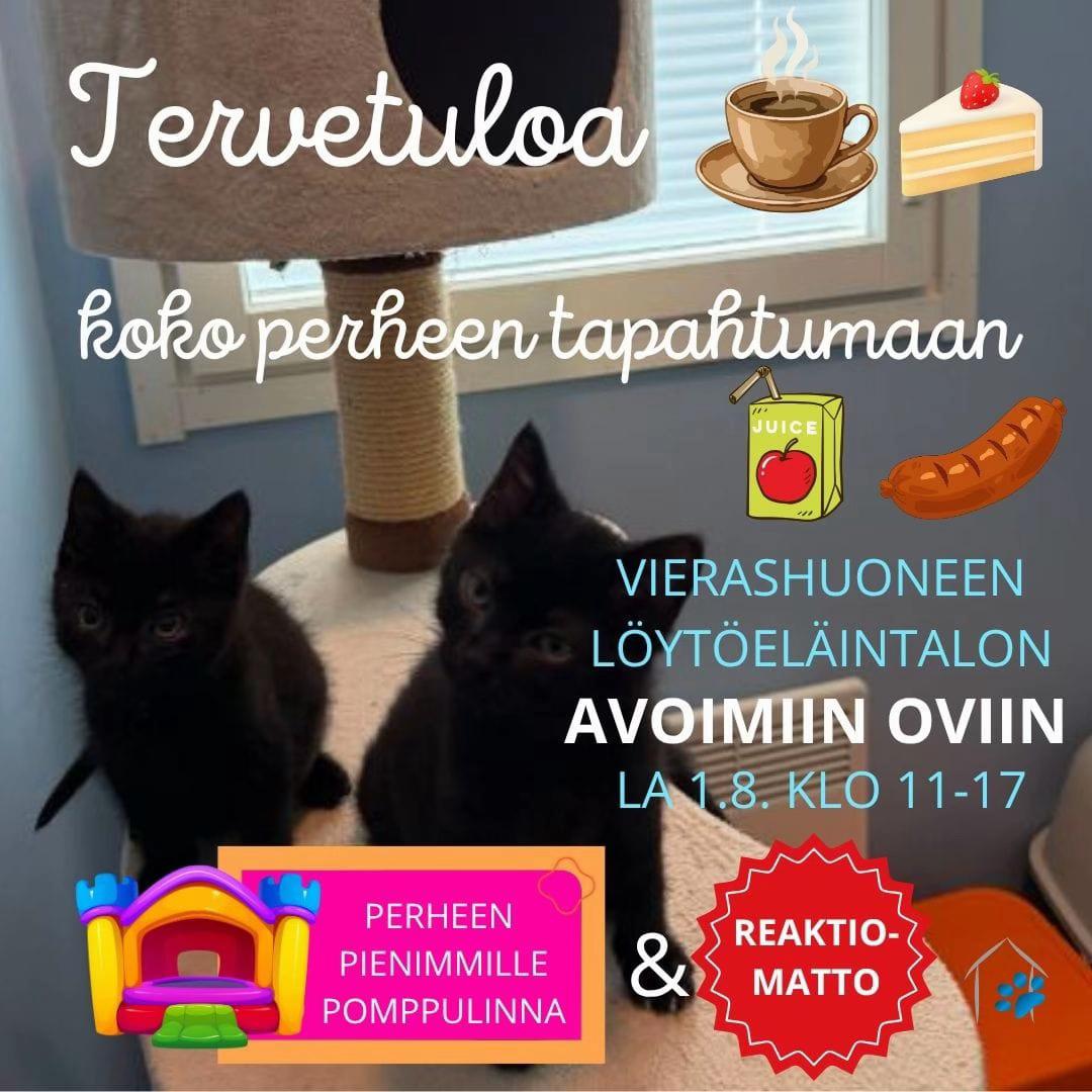 @VierashuoneSimo (Simo Tolonen