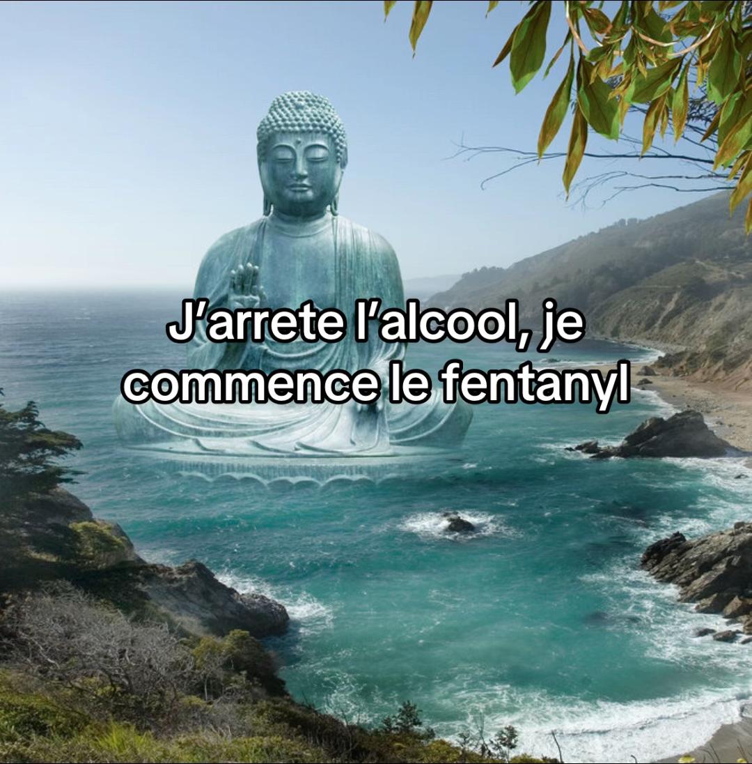@docteur..lulu