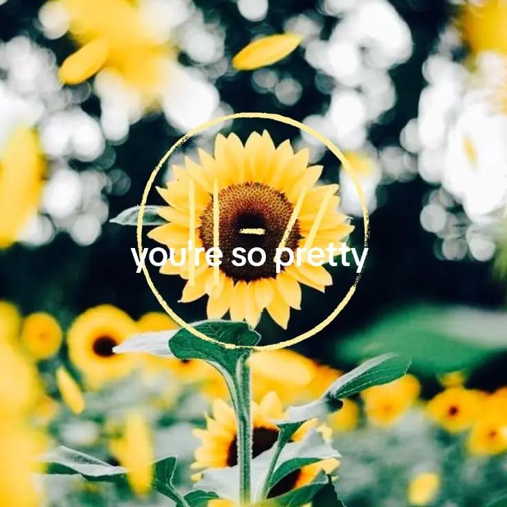 @|-/Merina⁵⁵