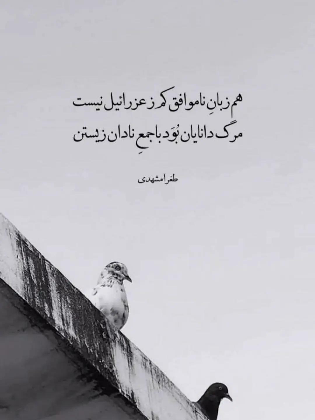 @🇦🇫شعر و موسیقی