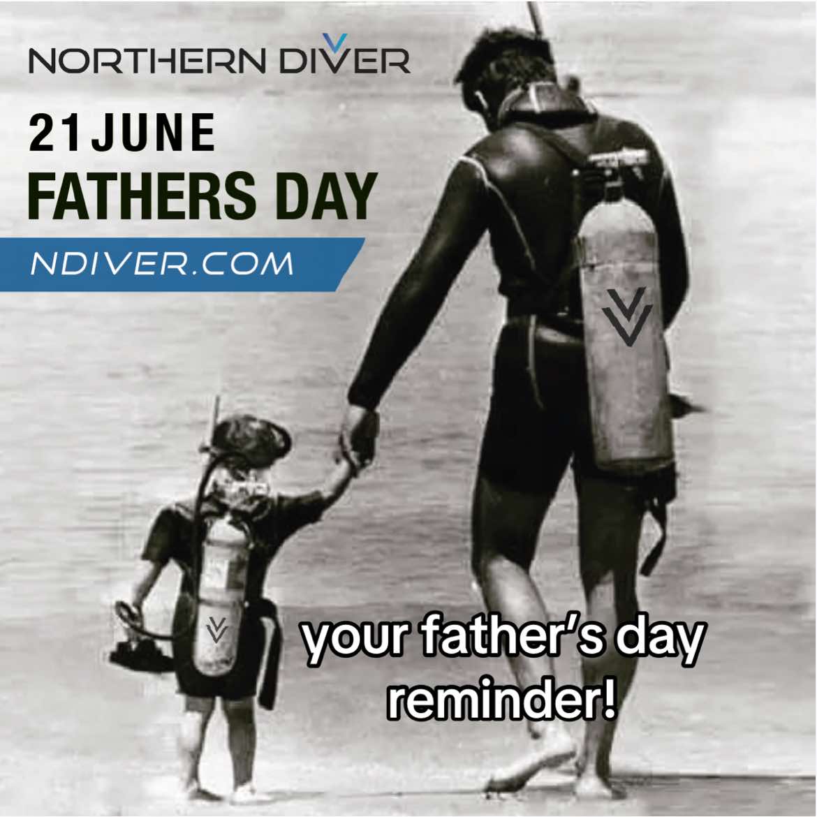 @Northern Diver