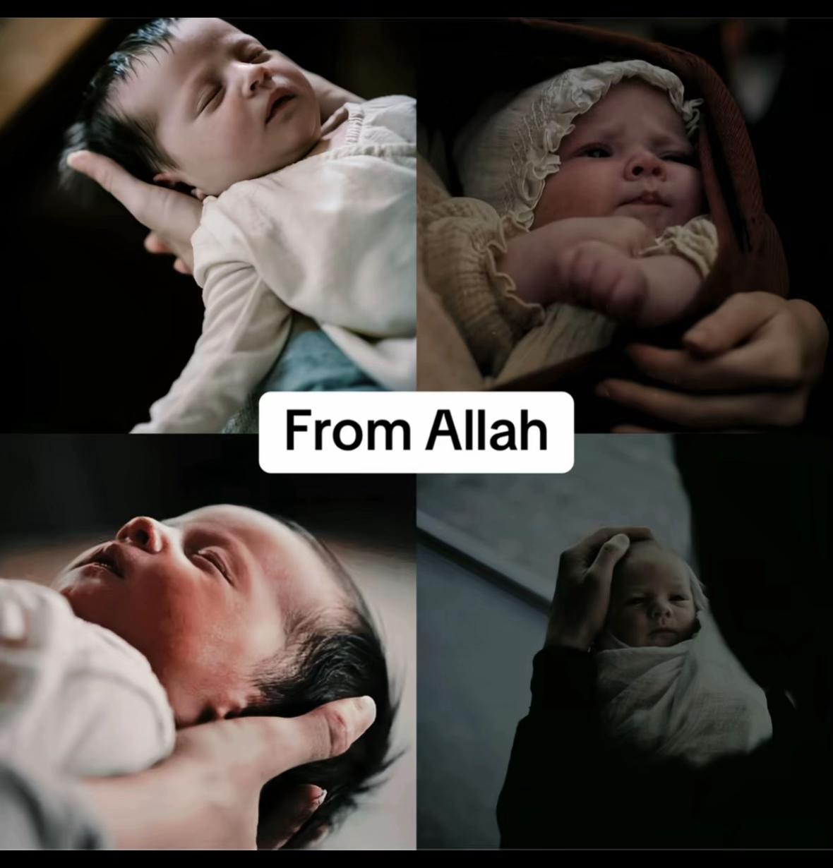 @halaltalks1