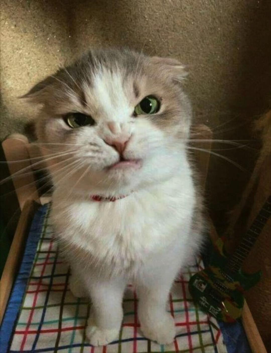 @😈