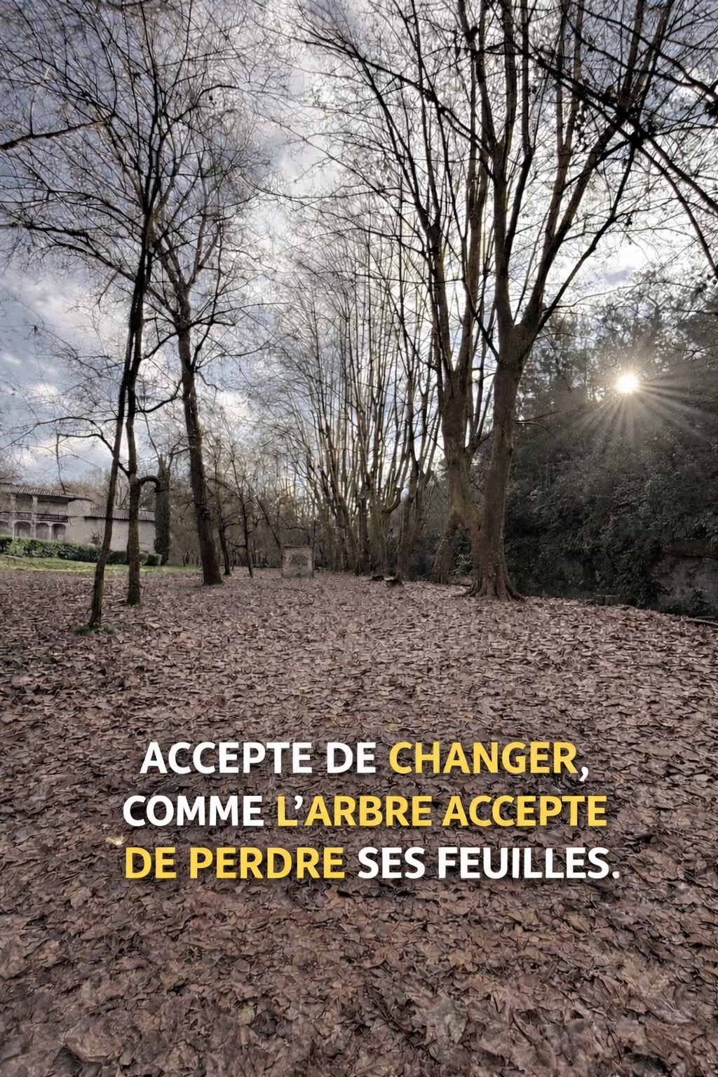 @LA V&Eacute;RIT&Eacute; 〽️
