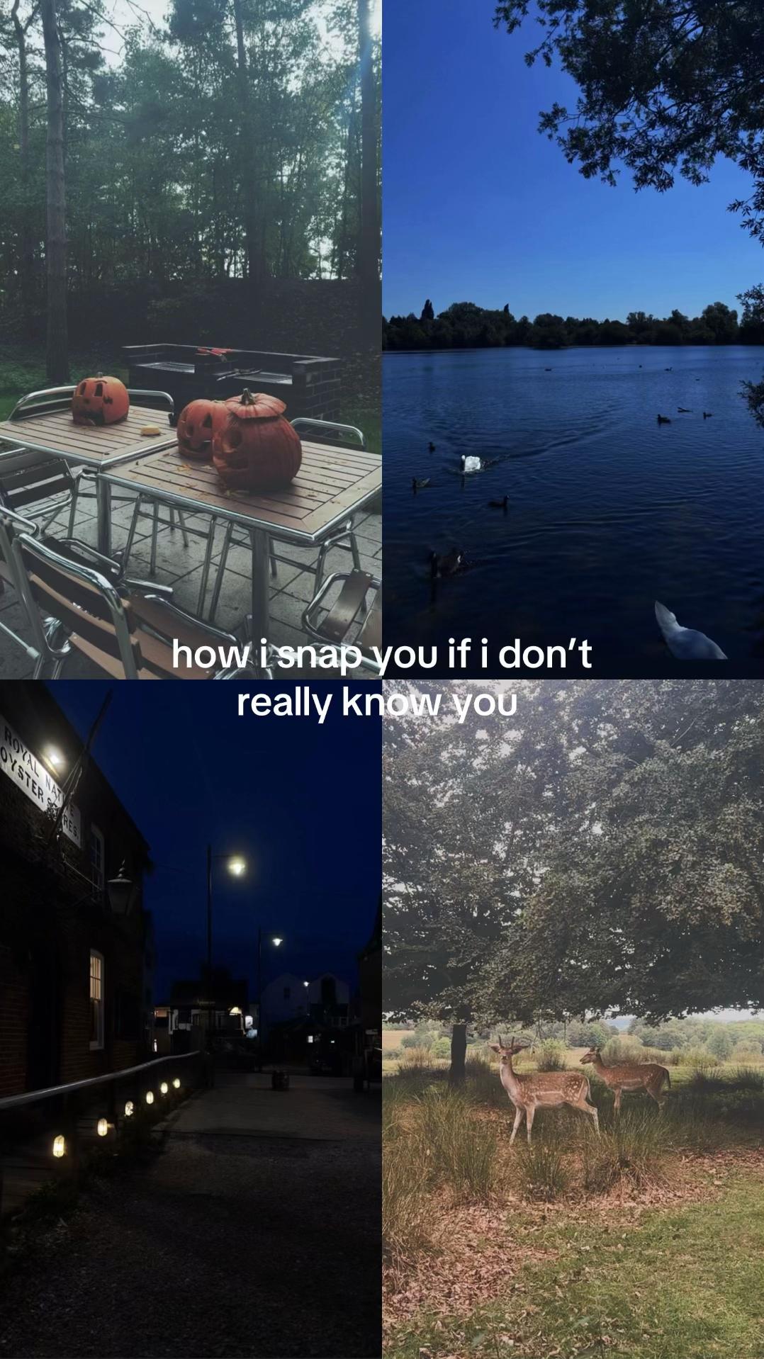 @𝑠𝑔𝑐.