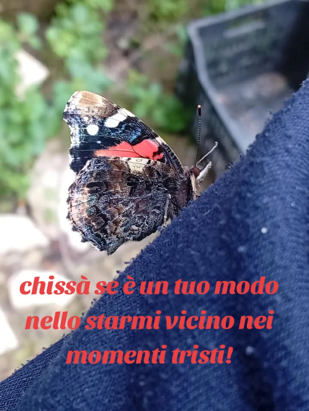 @Maria Salvatore