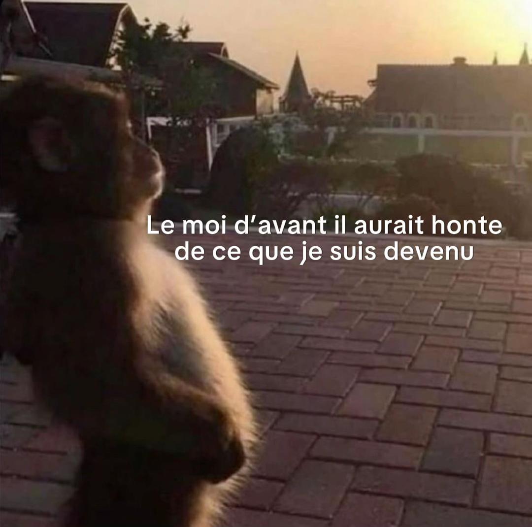 @🫀En🫀✝️