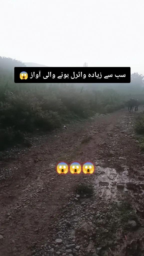 @✨Zahir_khan✨
