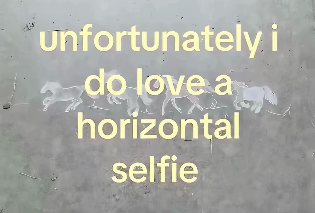 @Shan 🦇