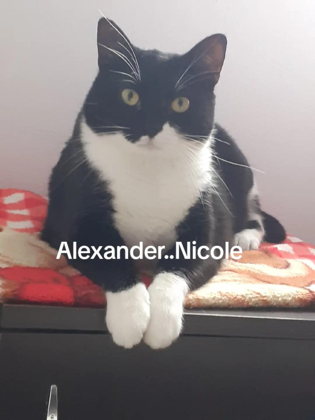 @Alexander..Nicole