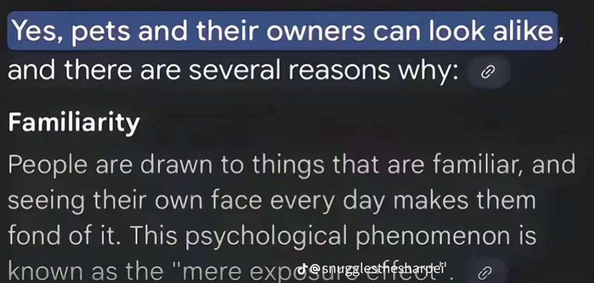 @TheDillyShow