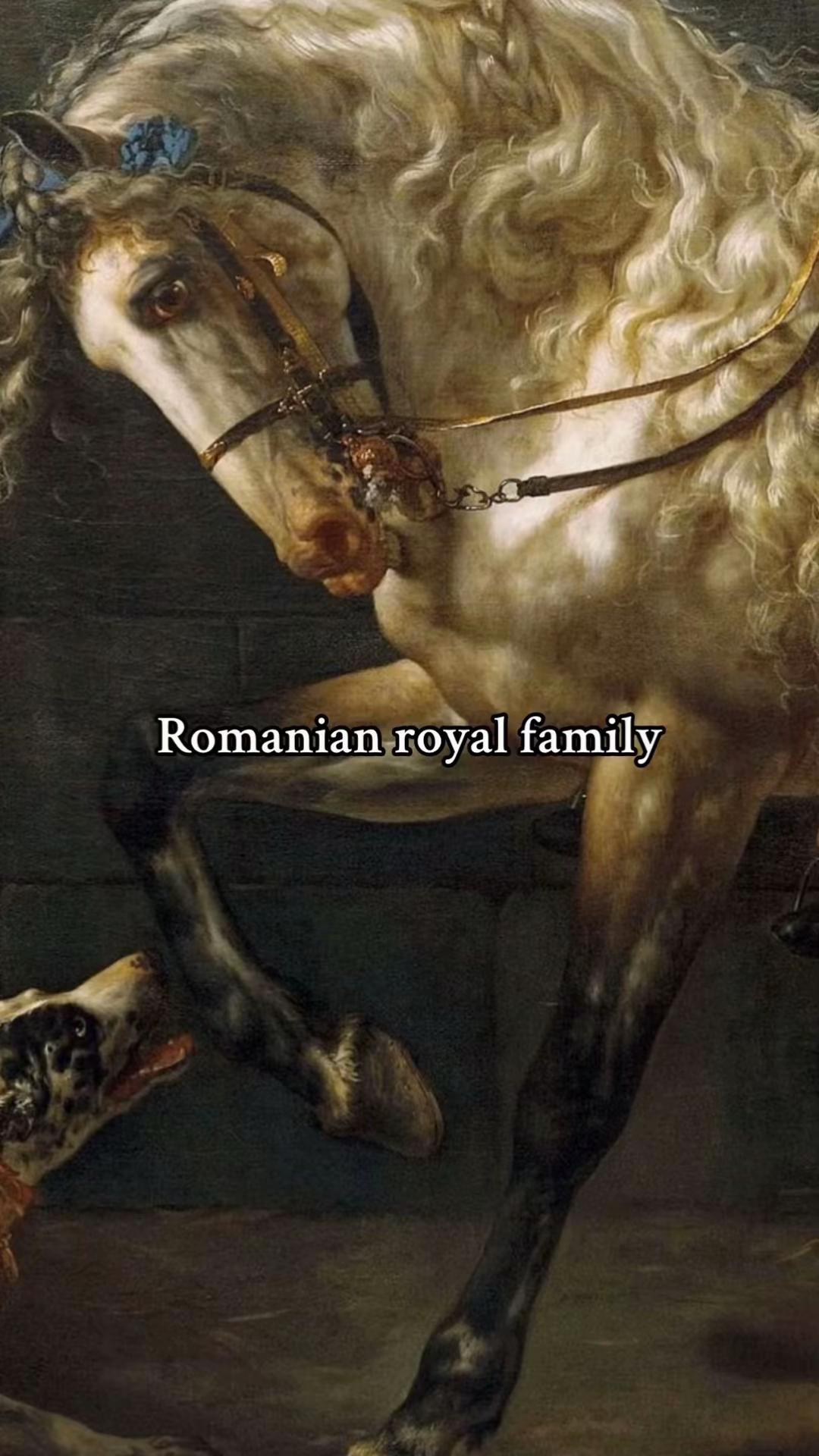 @history_m