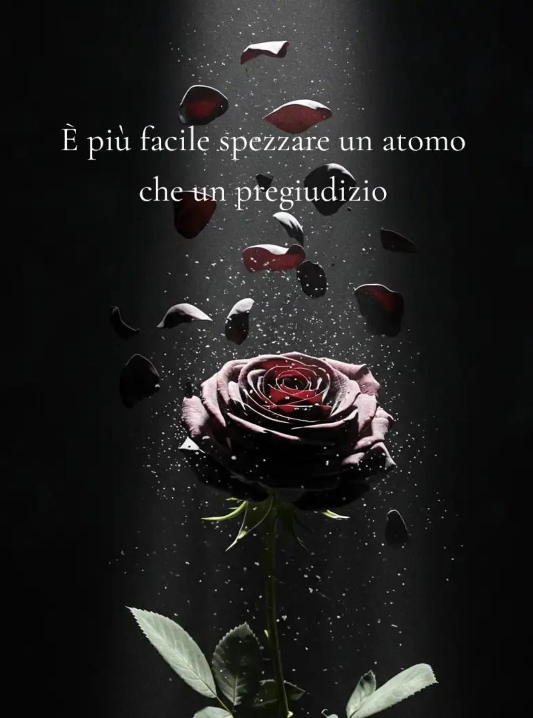 @💙Amali@