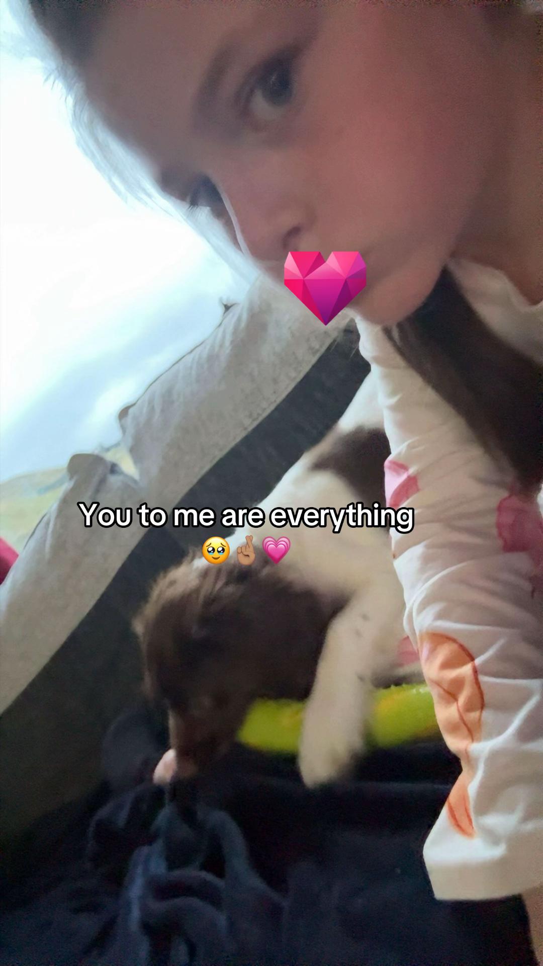 @Poppy ๐๐บ