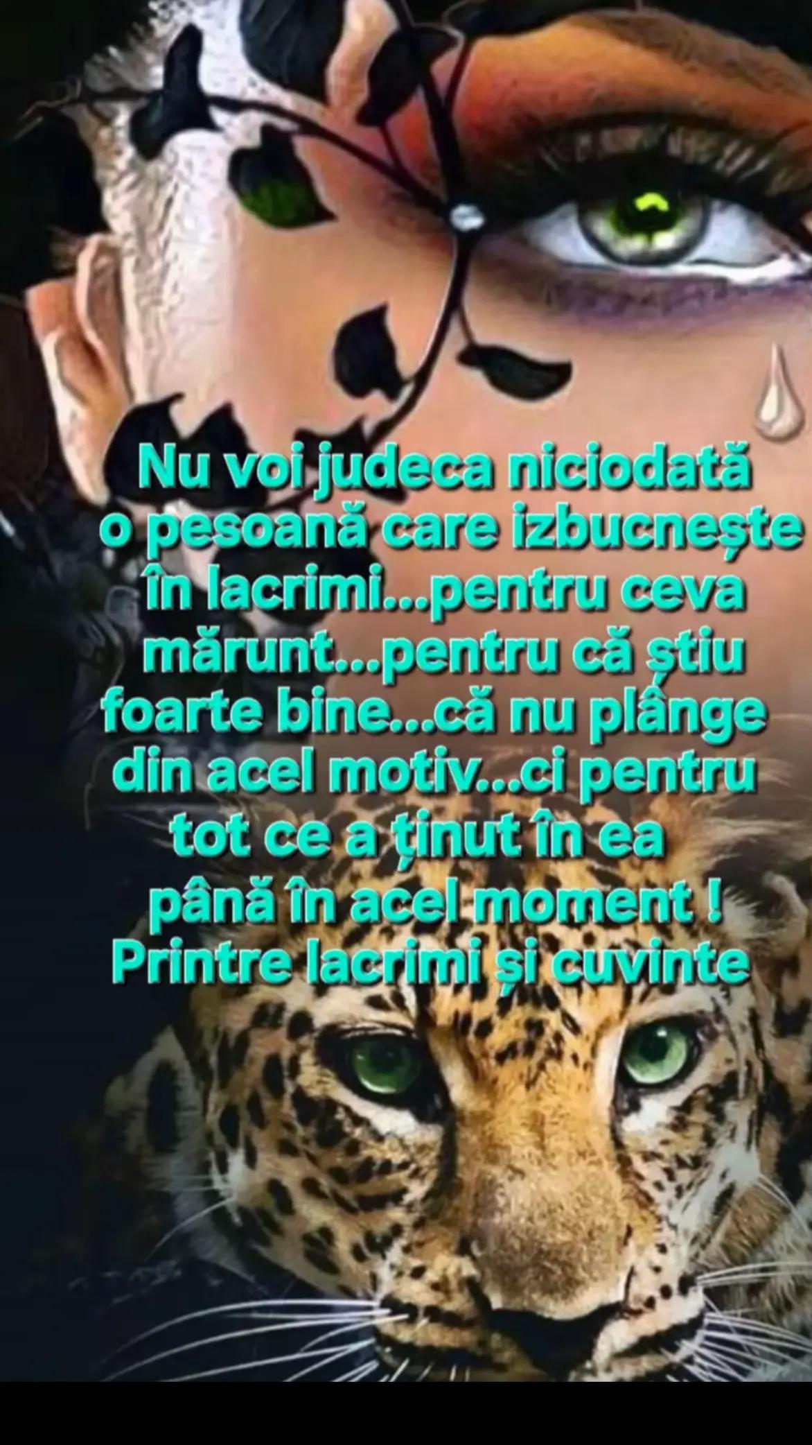 @Sebastian Luminița