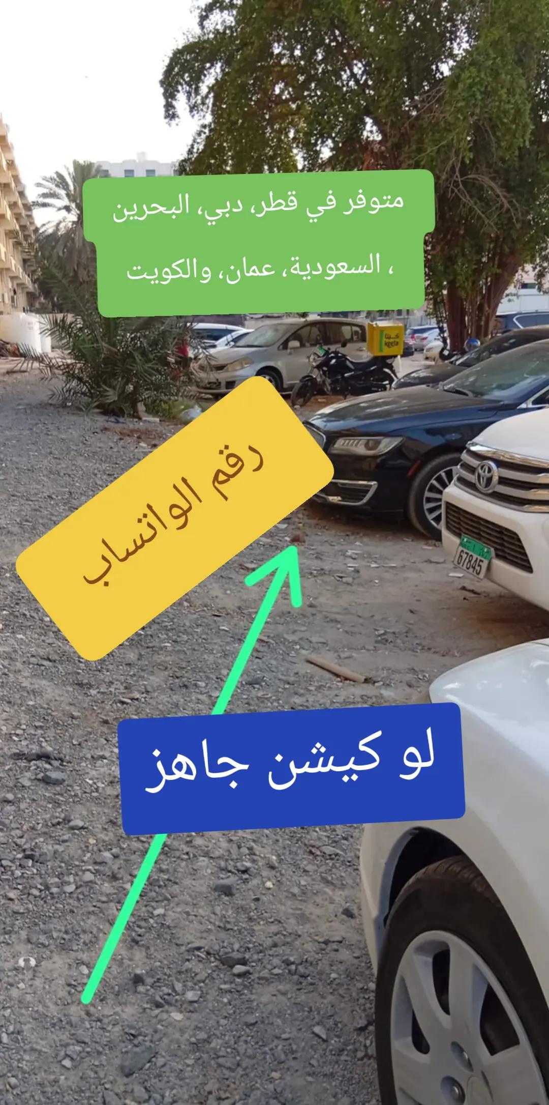 @محمد قاسم