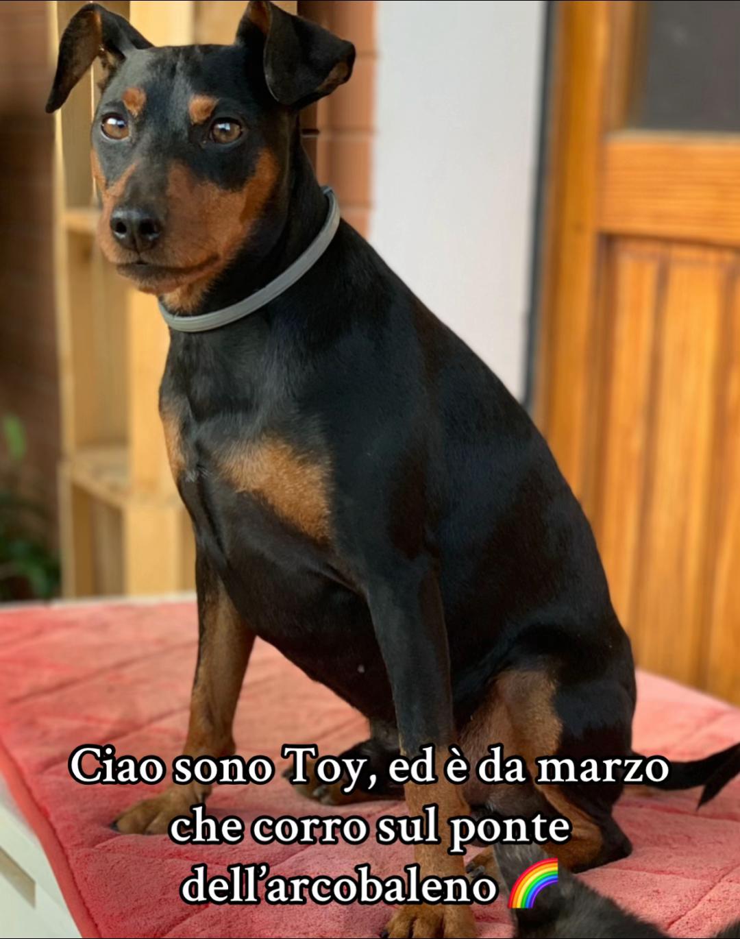 @Noemi Verdecchia