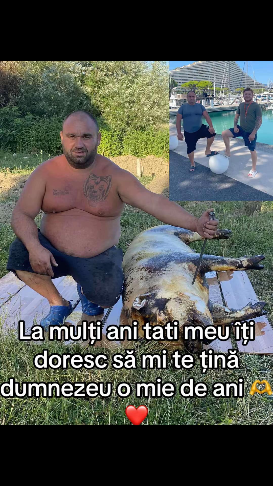@Darius Darius✅